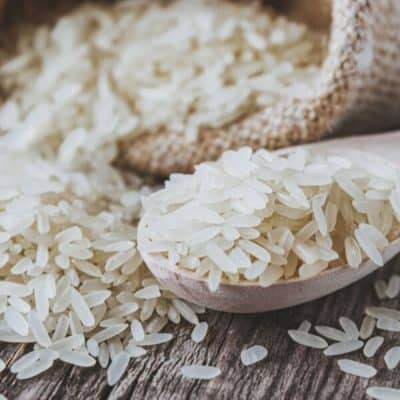MagnaProteinMask™ 5 Plant-Based Protein